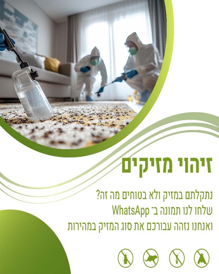 הדברה ביקנעם