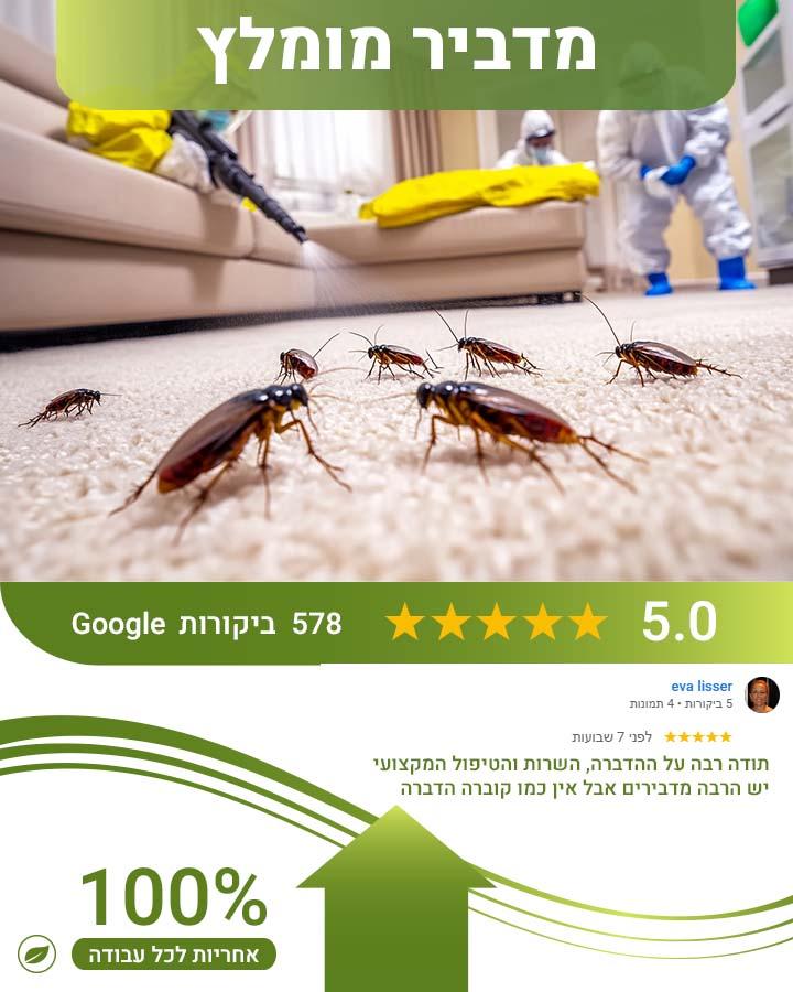 הדברה ביקנעם