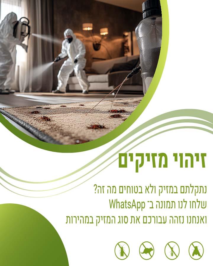 הדברה בירושלים