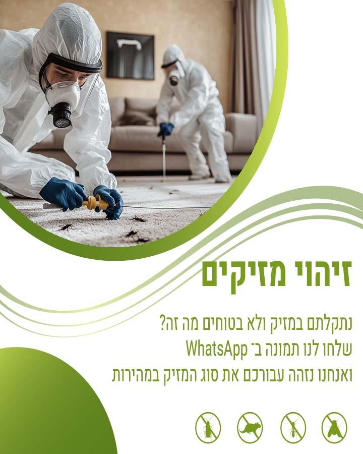 הדברה בכפר יונה