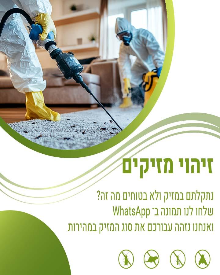הדברה בכפר סבא