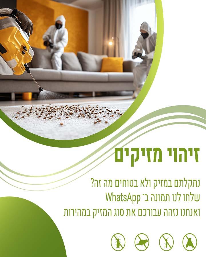 הדברה בכפר שמריהו
