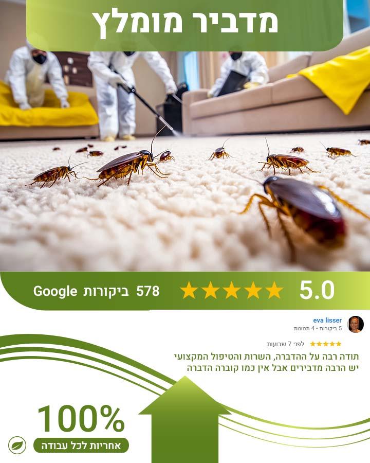 הדברה בלוד
