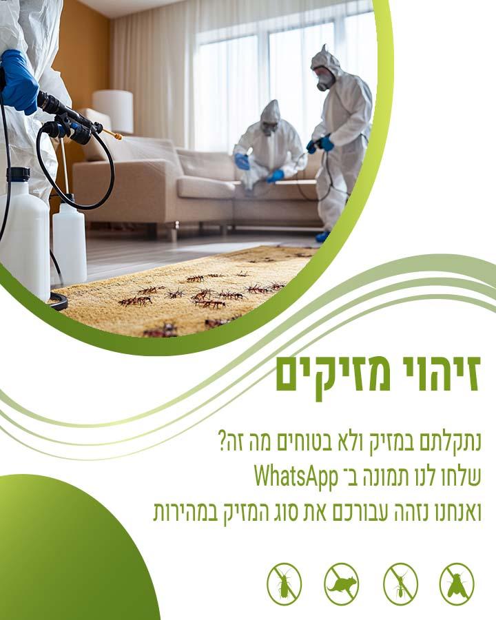 הדברה במבשרת ציון