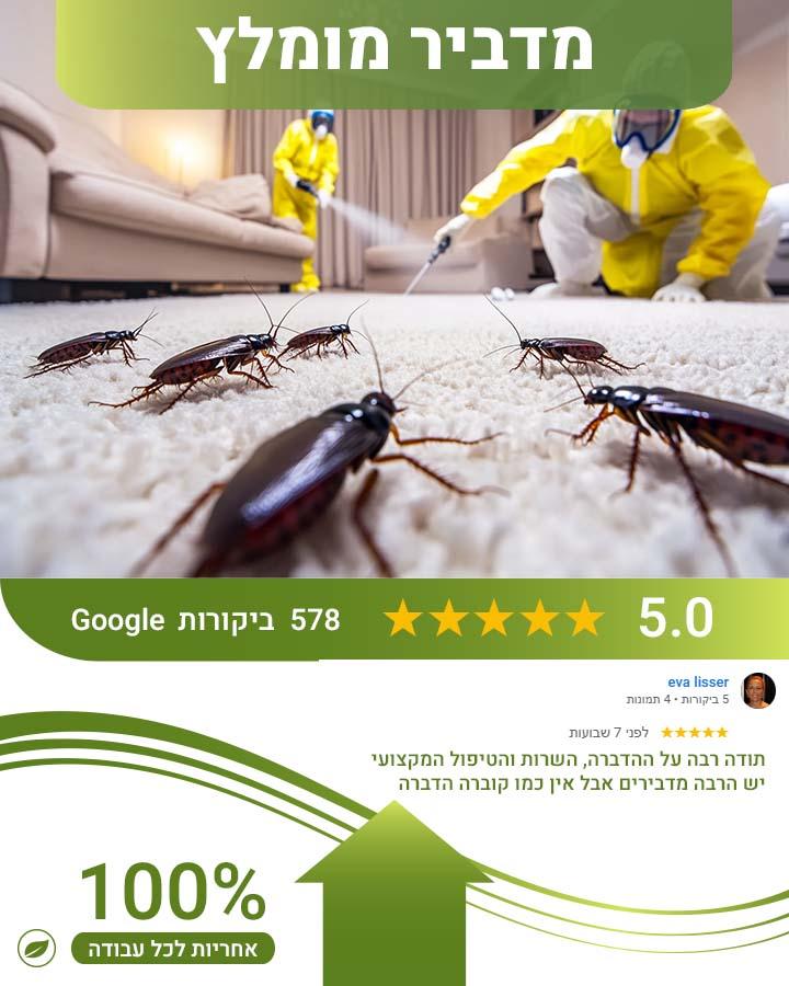 הדברה במבשרת ציון