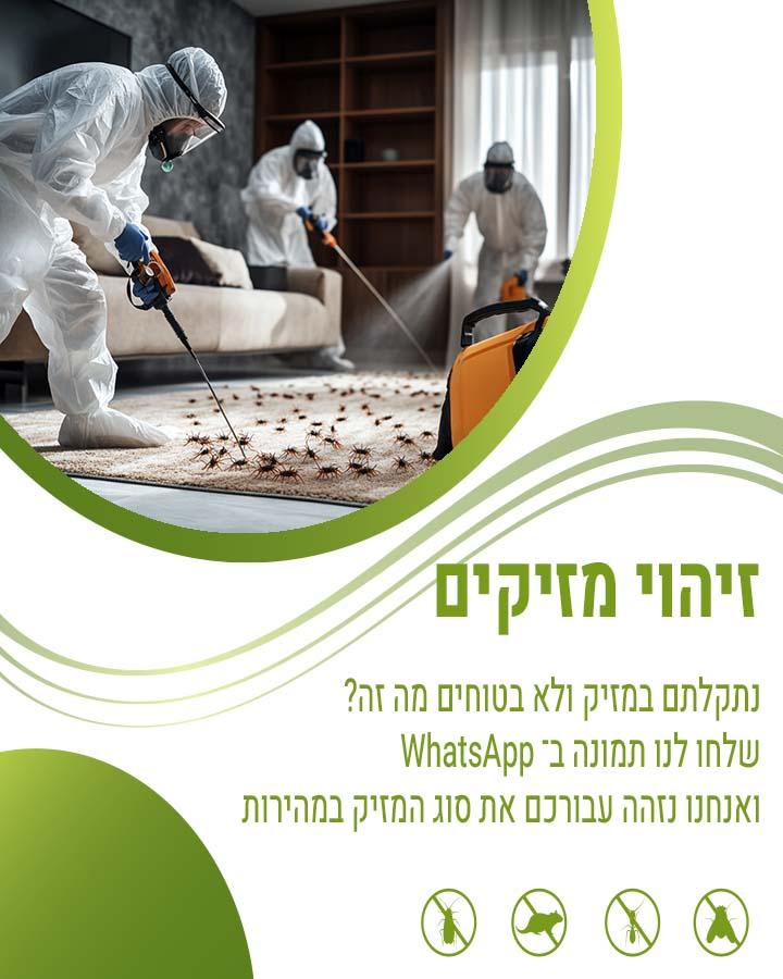 הדברה בנס ציונה