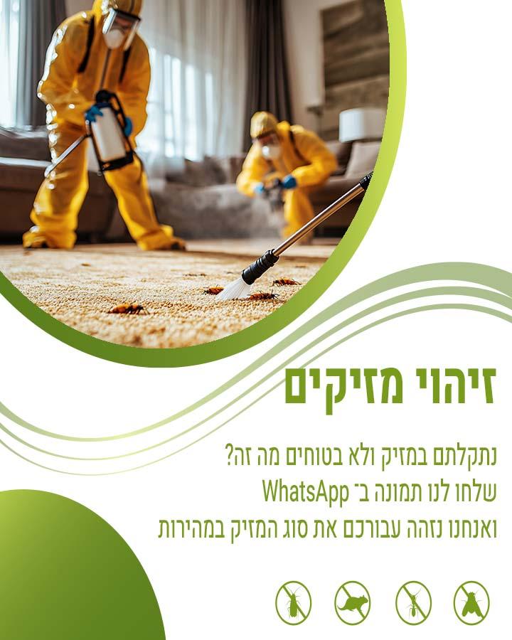 הדברה בנתניה