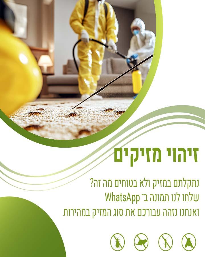 הדברה בסביון