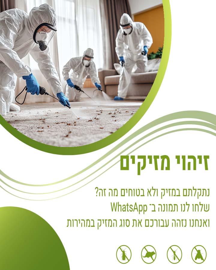 הדברה בעכו