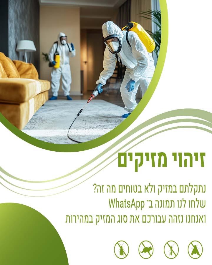 הדברה בעפולה