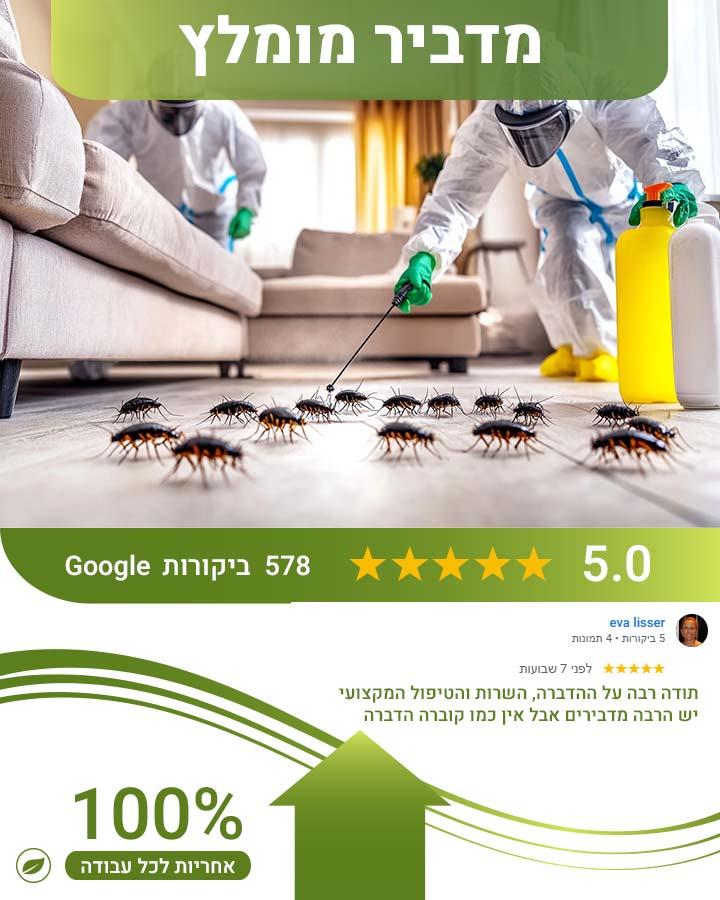 הדברה בערד