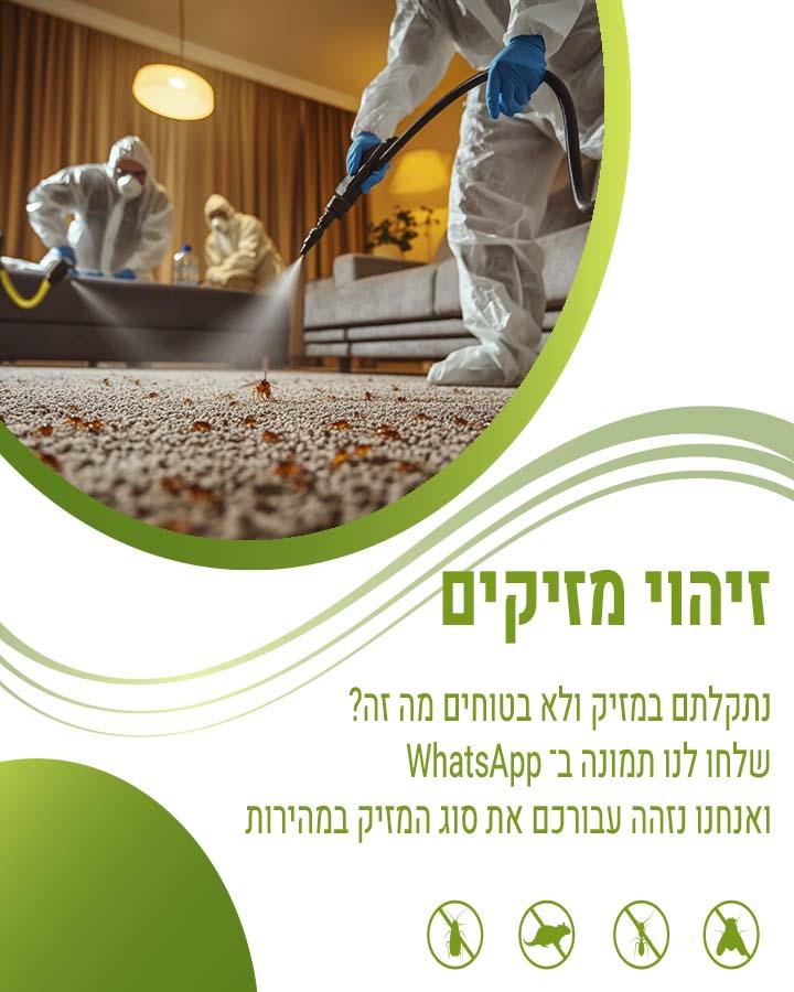 הדברה בפתח תקווה