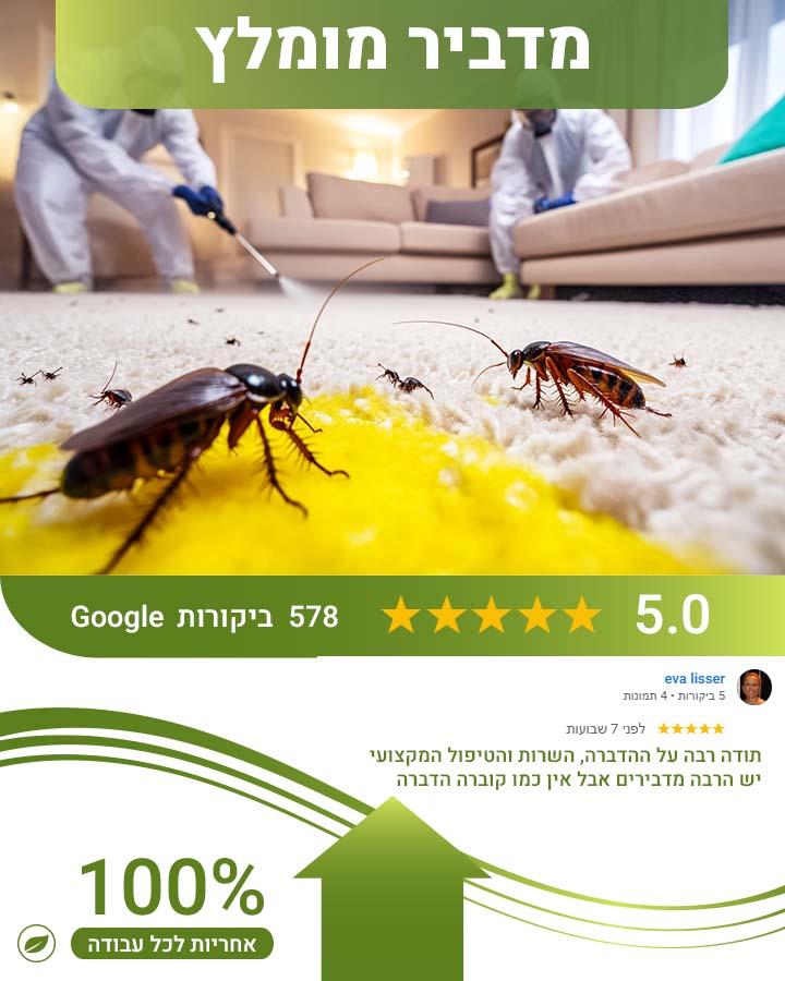 הדברה בצפון