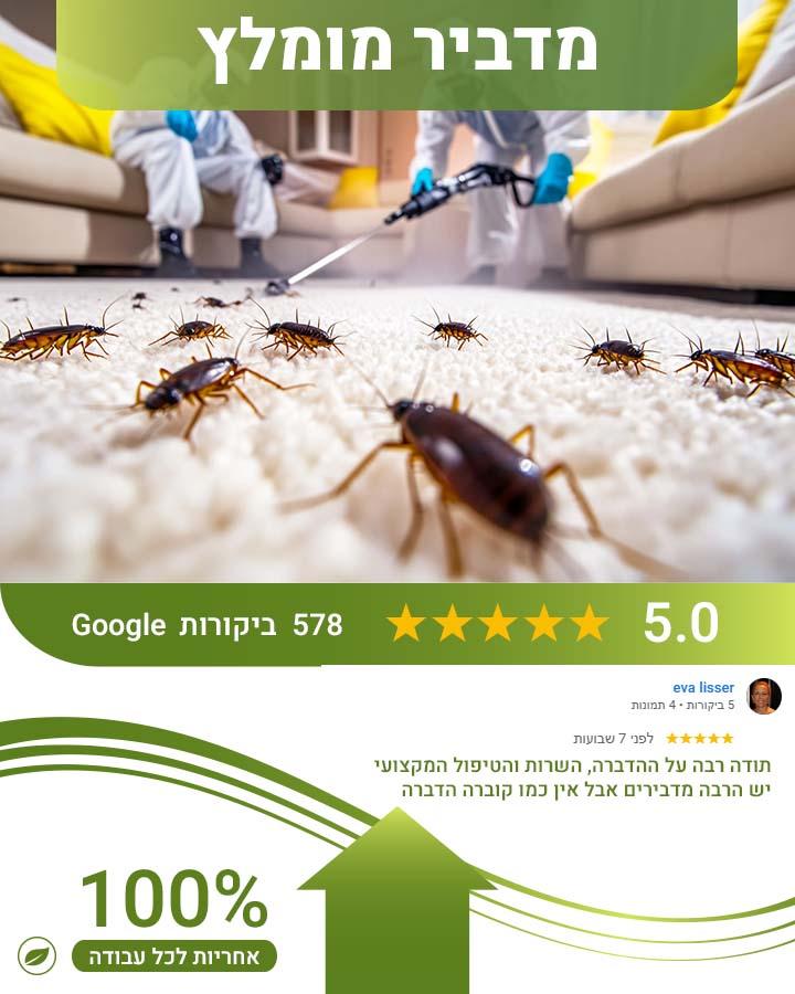 הדברה בצפת