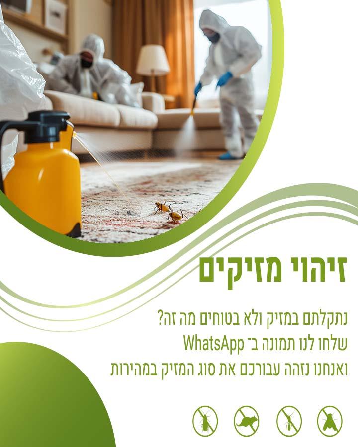 הדברה בקדימה