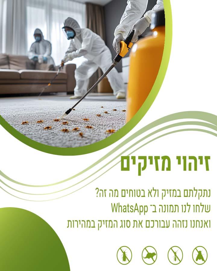 הדברה בקרית מוצקין