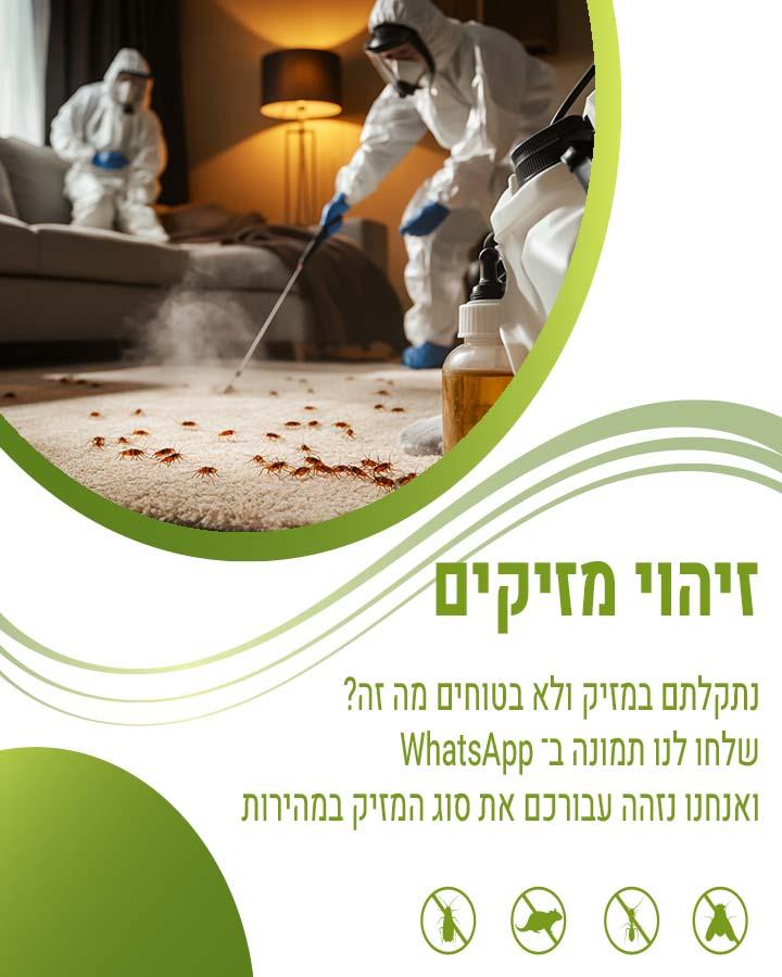 הדברה בראש העין