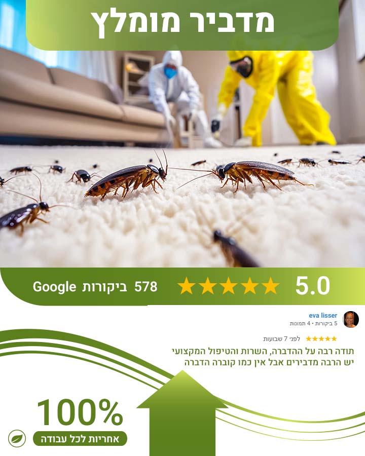 הדברה ברחובות