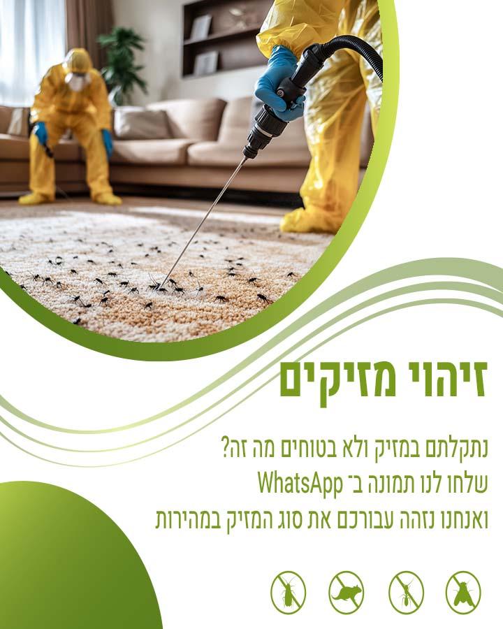 הדברה ברעננה