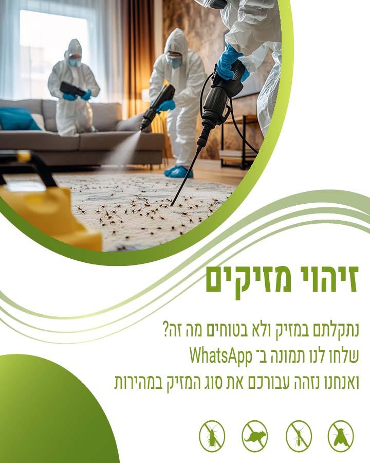 הדברה בשבת