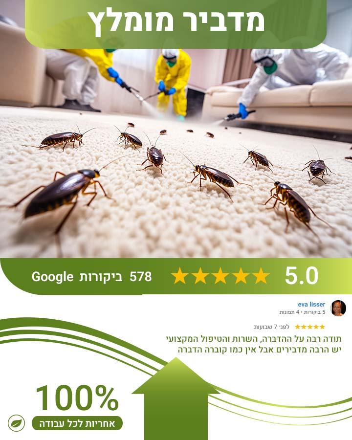 הדברה בשבת