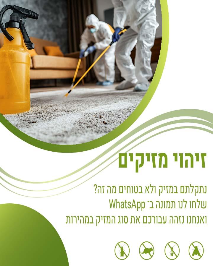 הדברה בשדרות