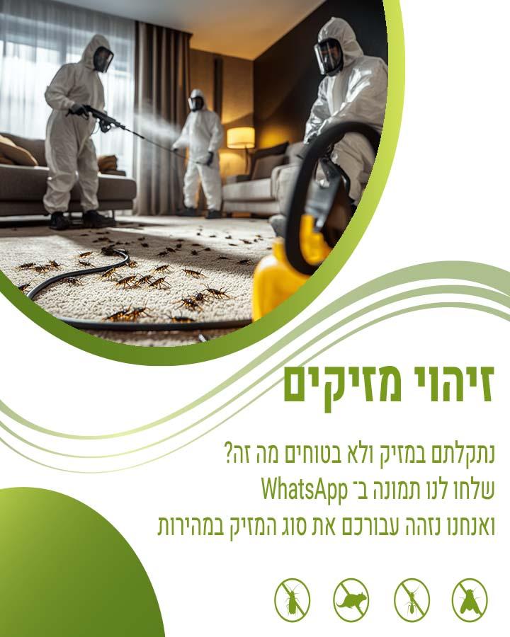 הדברה בשוהם
