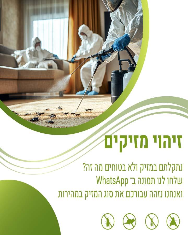 הדברה בתל מונד