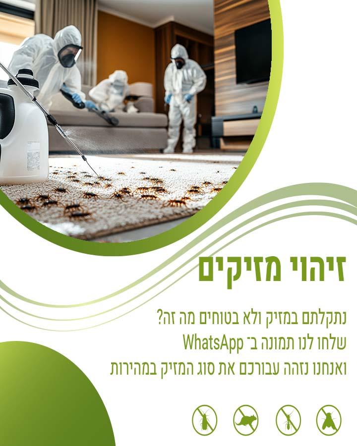 הדברה יצאת צדיק