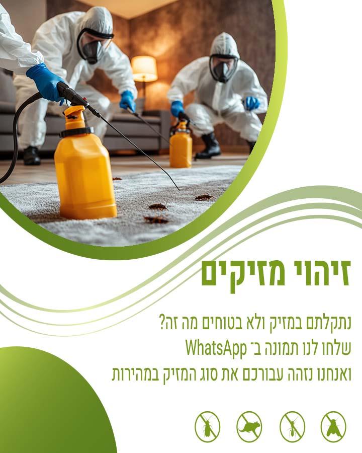 הדברה ירוקה ברחובות 1