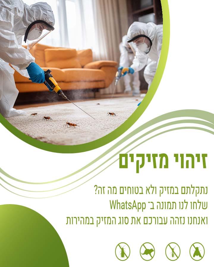 הדברה למוסדות 1