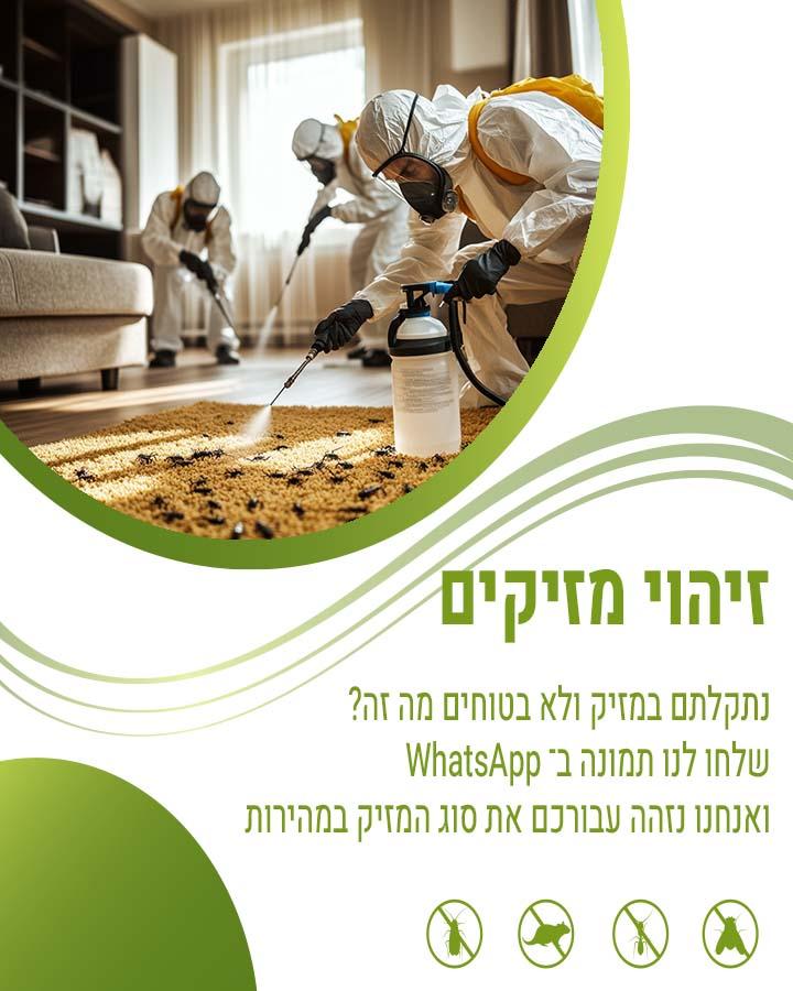 הדברה לפני כניסה לבית חדש 1