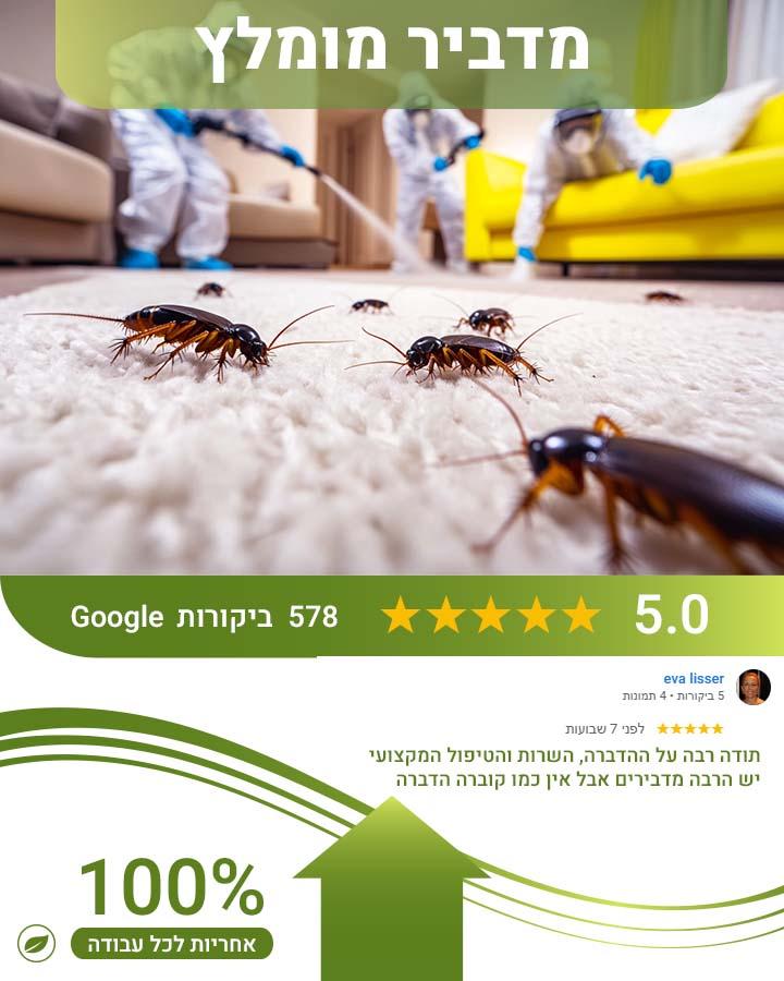 הדברה לפני כניסה לבית חדש 2