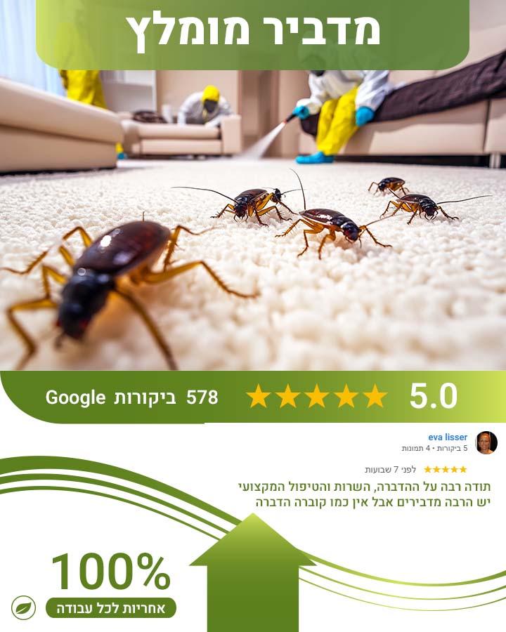 הדברת אורזית משוננת חזה