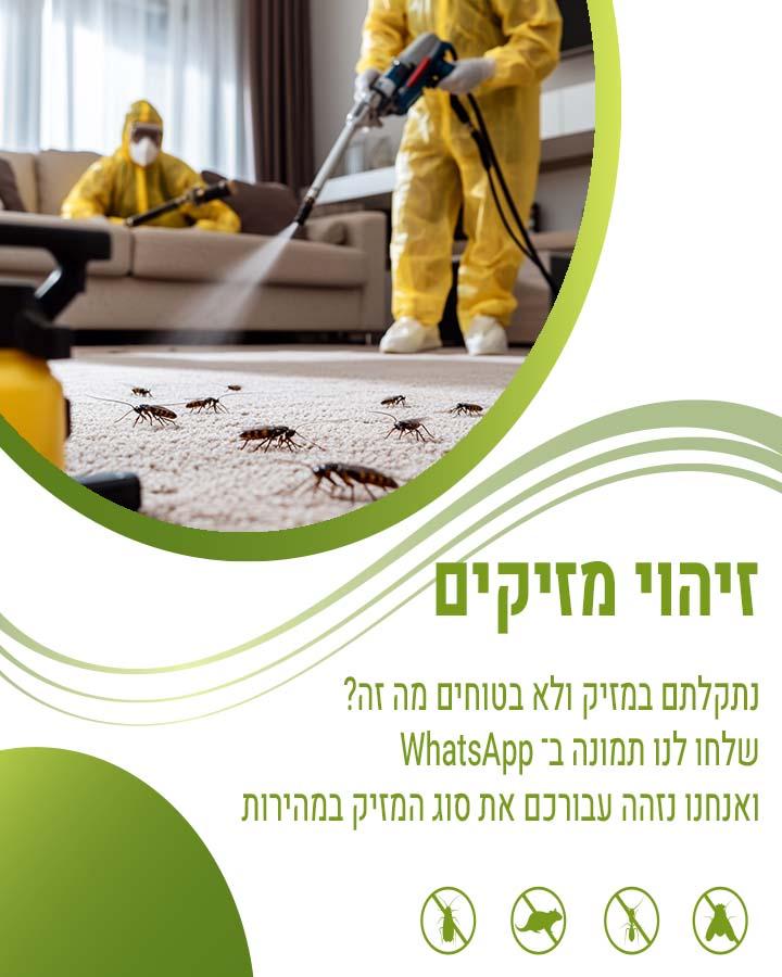 הדברת ביוב