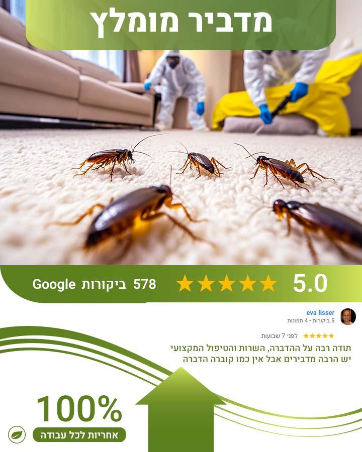 הדברת ביוב