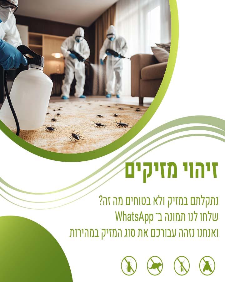 הדברת בקרית מלאכי