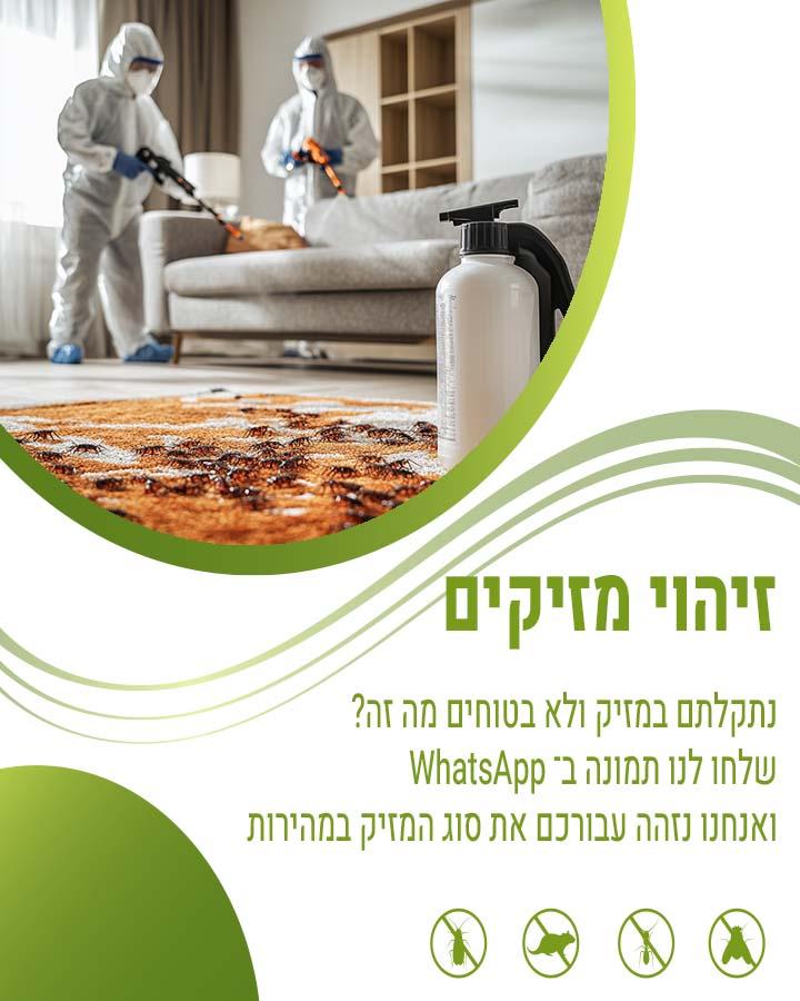 הדברת בתים