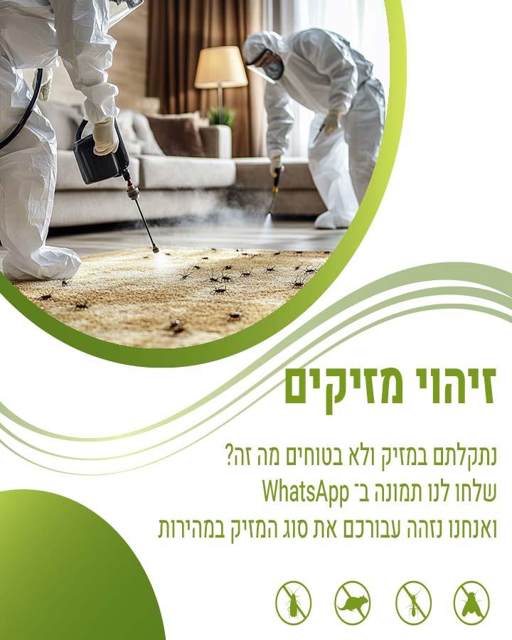 הדברת ג'וקים