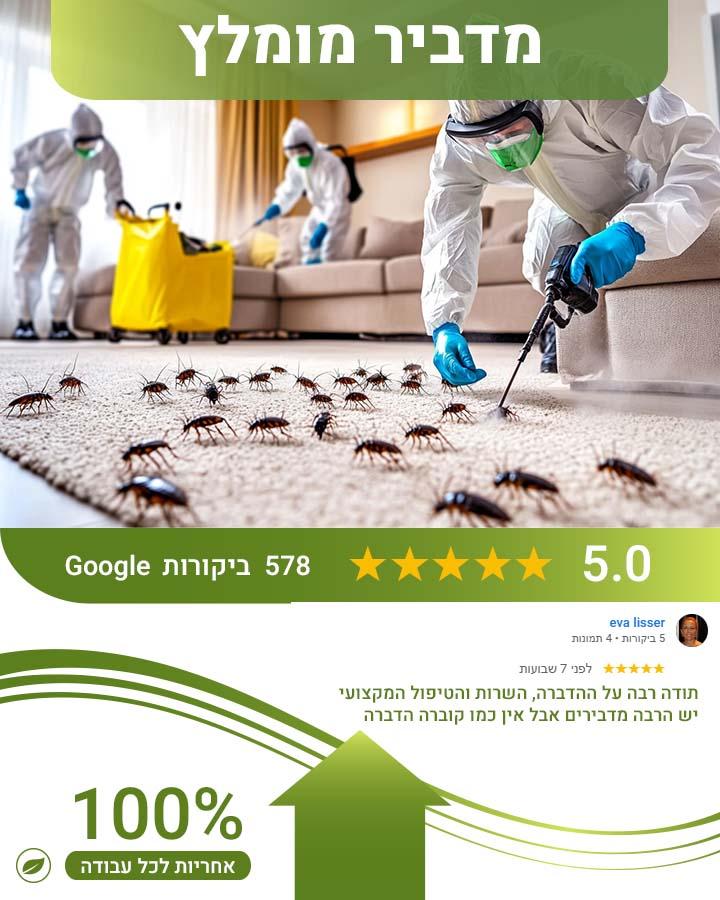 הדברת ג'וקים