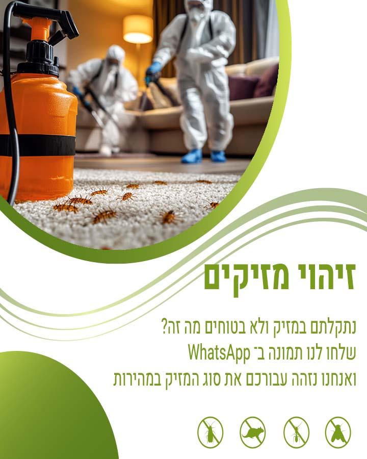 הדברת גינה