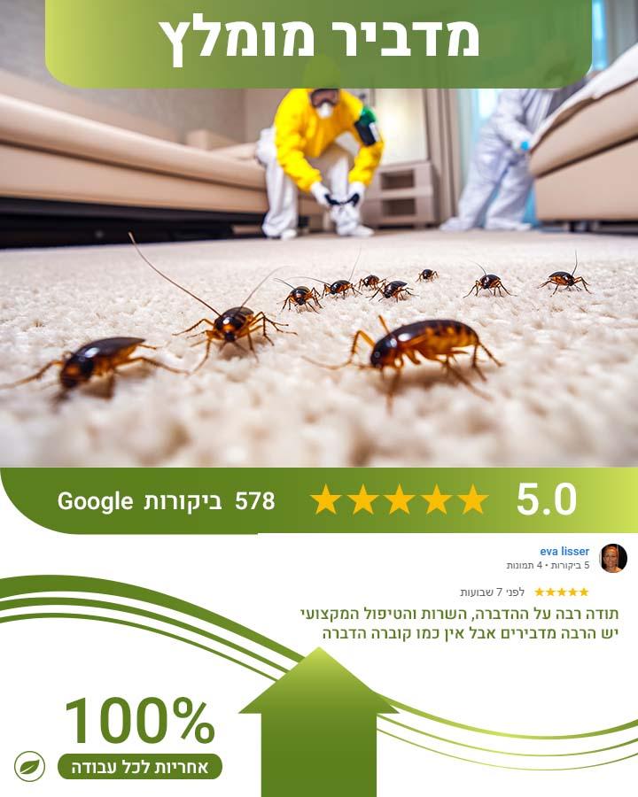 הדברת גינה