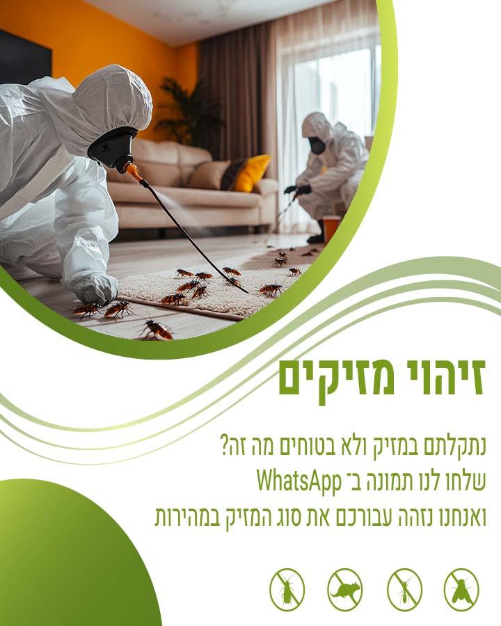 הדברת גני ילדים