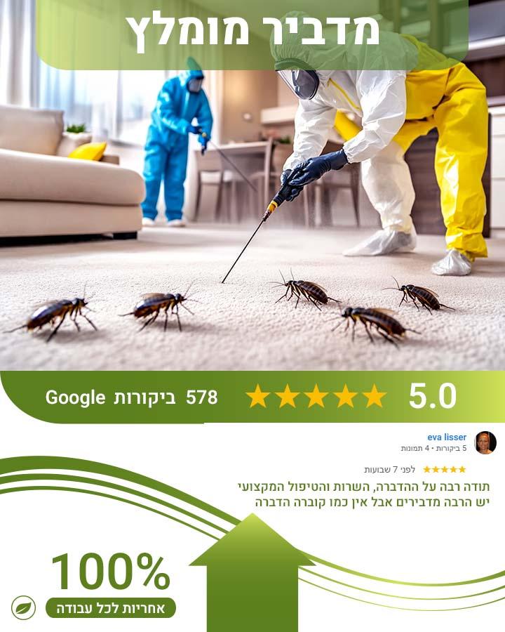הדברת דבורים וצרעות 2
