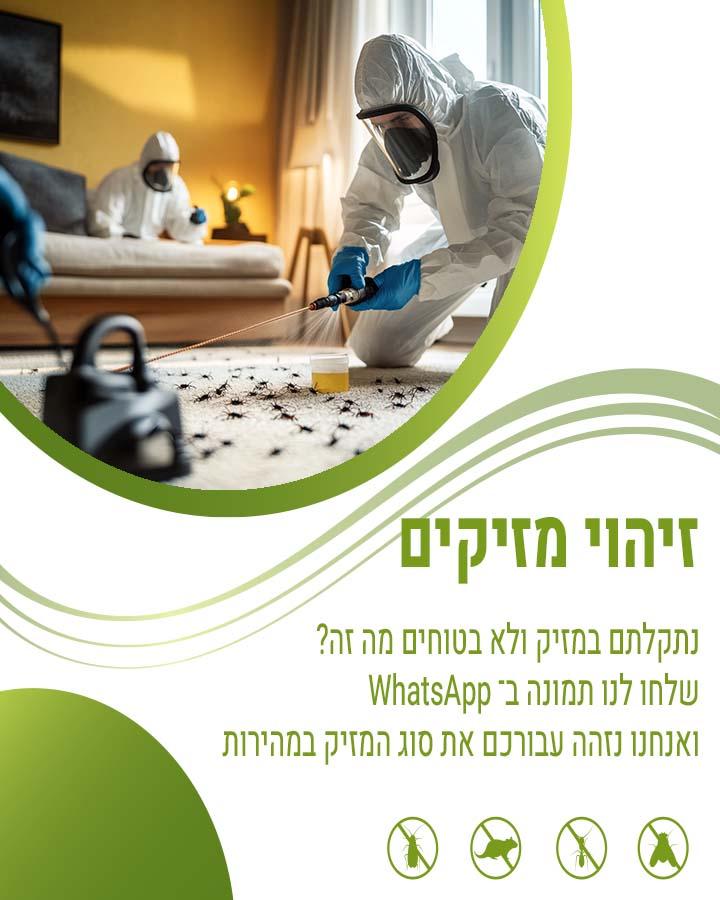 הדברת חדר אשפה