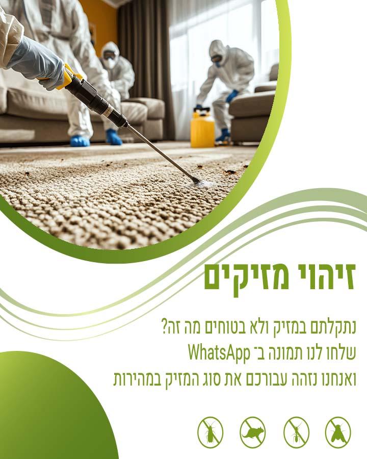 הדברת חדר מדרגות