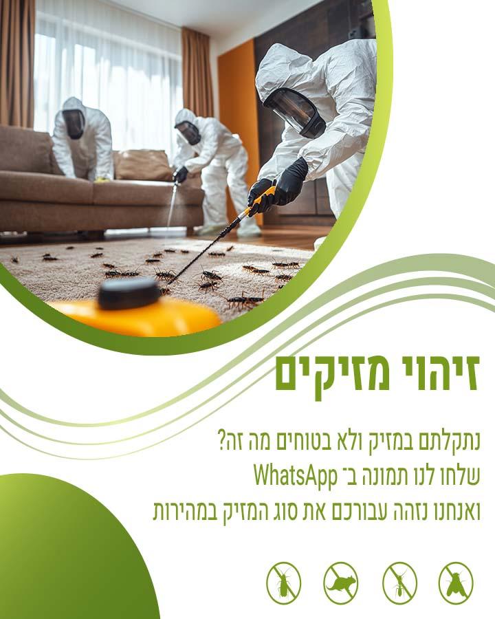הדברת חולדות