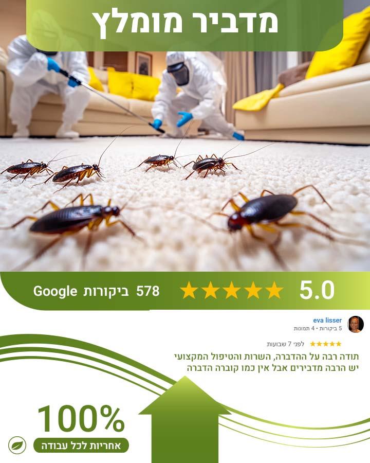 הדברת חולדות בגג רעפים