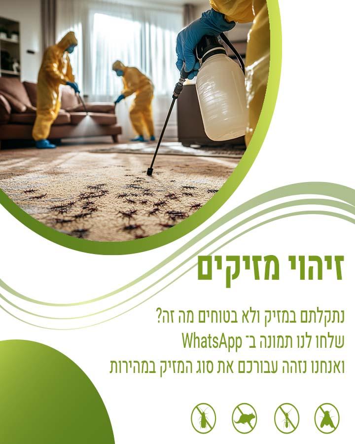 הדברת חנויות