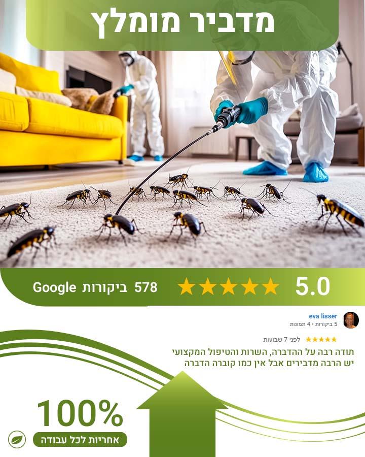 הדברת חנויות